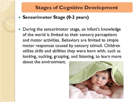 sensorimotor stage of development pdf.